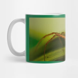 AND IN THE BEGINNING THERE WAS MACRO..! Mug